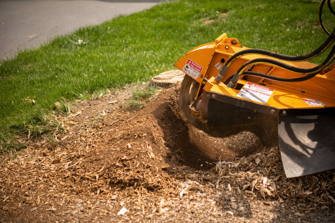 Stump grinding in Napa, CA